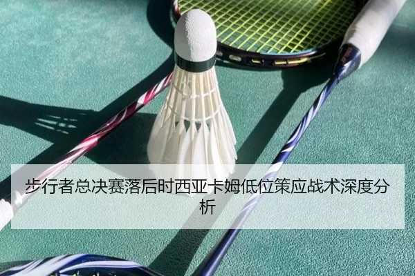 bu-xing-zhe-zong-jue-sai-luo-hou-shi-xi-ya-ka-mu-di-wei-ce-ying-zhan-shu-shen-du-fen-xi-2-692.jpg
