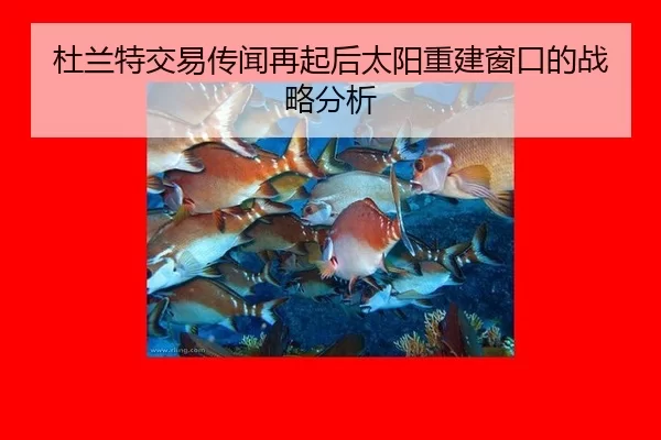 du-lan-te-jiao-yi-chuan-wen-zai-qi-hou-tai-yang-chong-jian-chuang-kou-de-zhan-lve-fen-xi-2-403.jpg